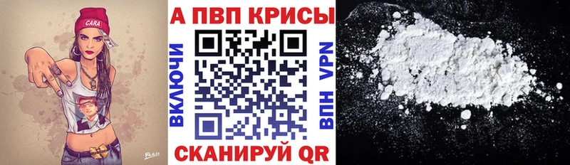 Альфа ПВП СК КРИС Светлогорск