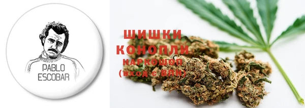apvp Белокуриха