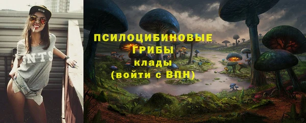 apvp Белокуриха