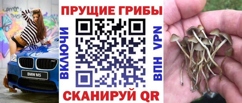 darknet клад  Светлогорск  Псилоцибиновые грибы мухоморы  как найти  