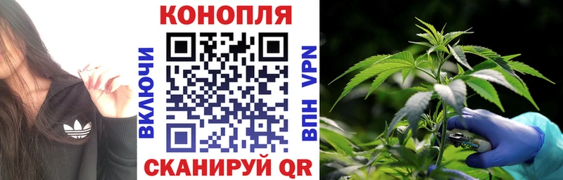цены наркотик  Светлогорск  Бошки Шишки AK-47 